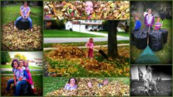 Rake The Leaves Collage