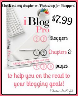 iBlog Pro eBook: Taking Your Blog to the Next Level from Starts At Eight