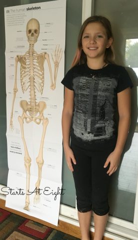 The Skeletal System: Hands-On Learning Resources - StartsAtEight