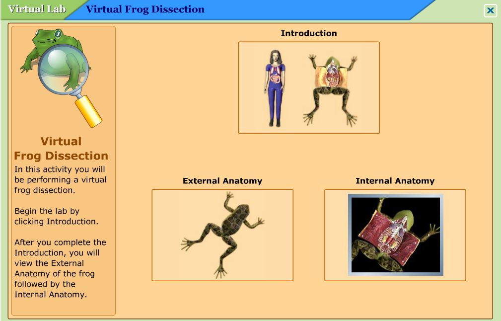 mcgraw hill virtual lab frog dissection