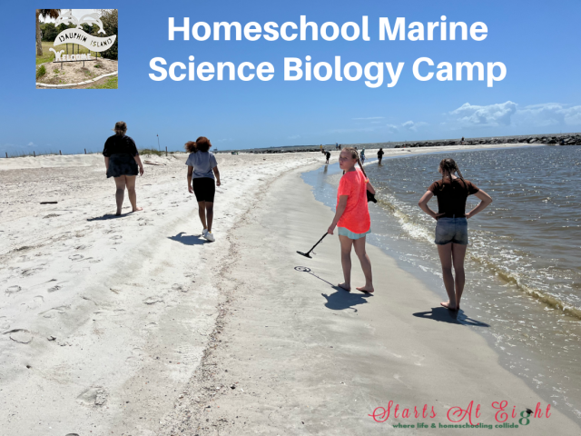 Dauphin Island Homeschool Marine Science Biology Camp