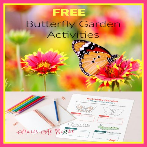 Create a Butterfly Garden