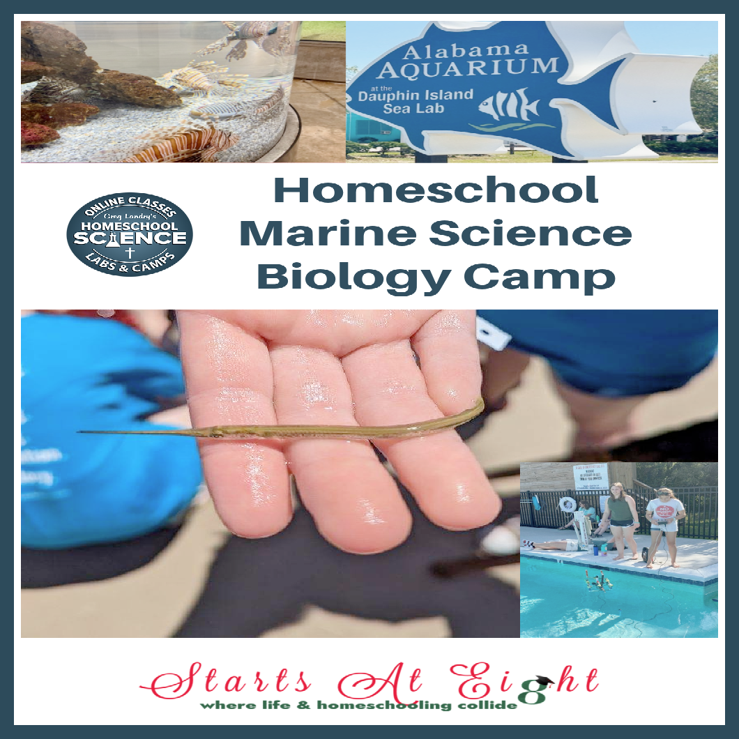 Homeschool Marine Science Biology Camp gives your children the opportunity to breathe, eat, sleep, work, and play marine science.