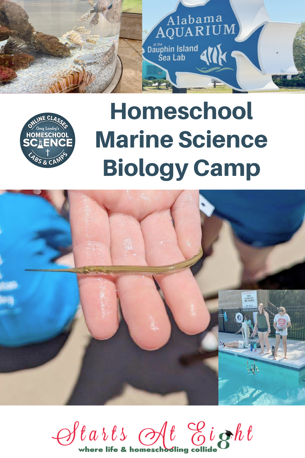 Homeschool Marine Science Biology Camp gives your children the opportunity to breathe, eat, sleep, work, and play marine science.