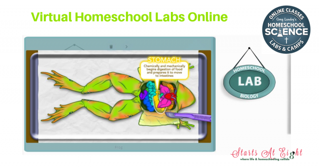 Virtual Homeschool Labs Online